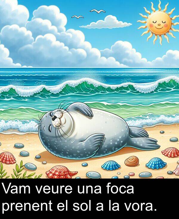 una: Vam veure una foca prenent el sol a la vora.