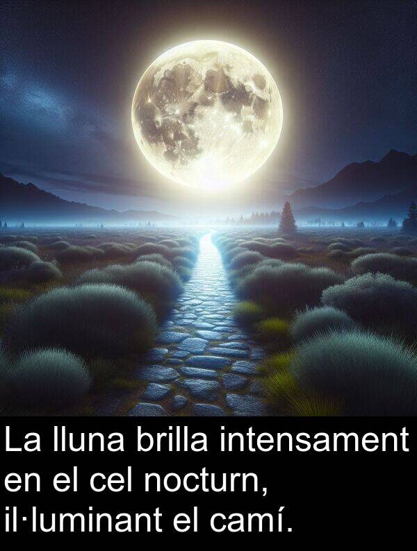 brilla: La lluna brilla intensament en el cel nocturn, il·luminant el camí.