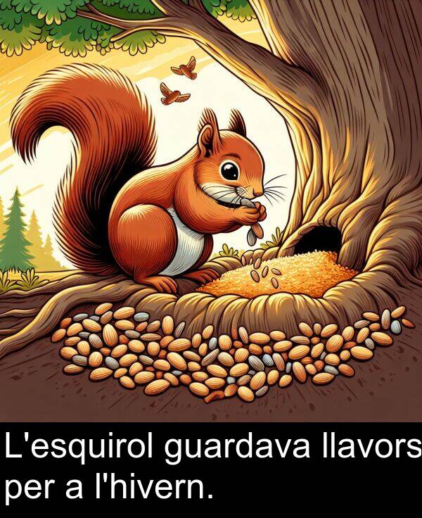 per: L'esquirol guardava llavors per a l'hivern.