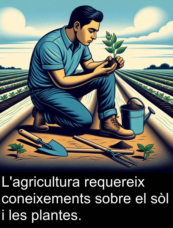 plantes: L'agricultura requereix coneixements sobre el sòl i les plantes.