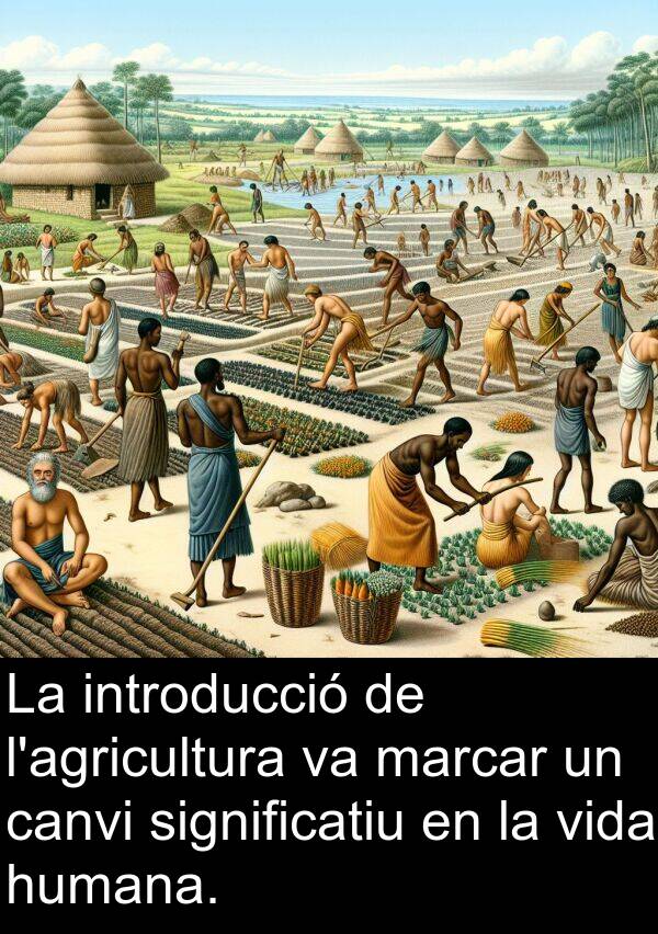 canvi: La introducció de l'agricultura va marcar un canvi significatiu en la vida humana.