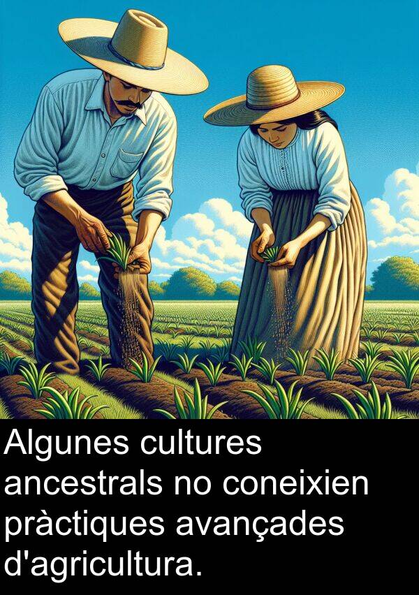 coneixien: Algunes cultures ancestrals no coneixien pràctiques avançades d'agricultura.