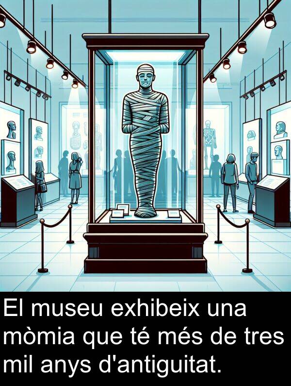 anys: El museu exhibeix una mòmia que té més de tres mil anys d'antiguitat.