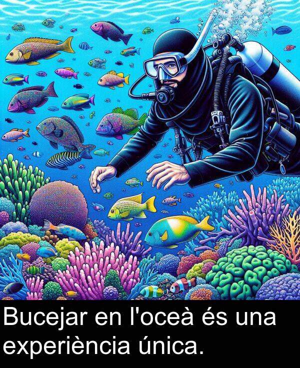 una: Bucejar en l'oceà és una experiència única.