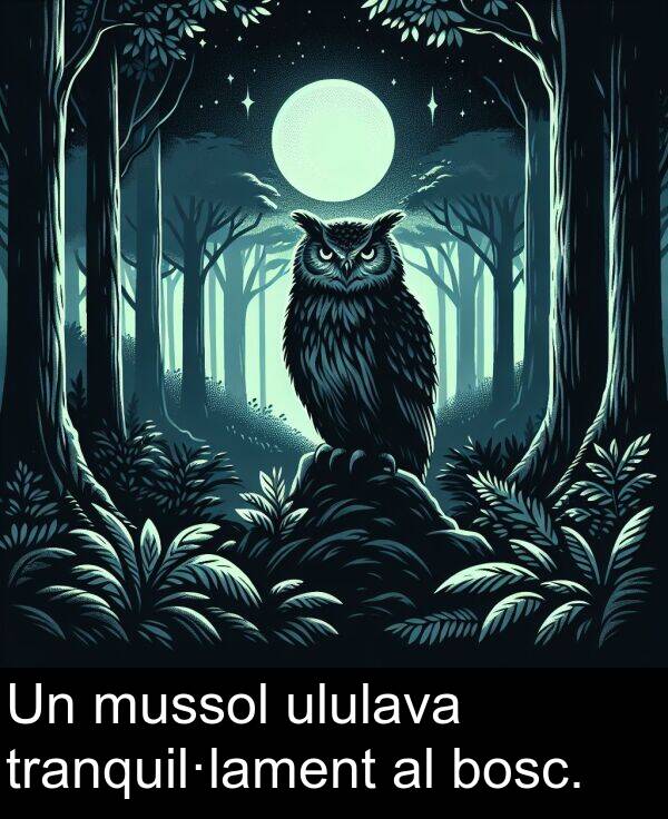 ululava: Un mussol ululava tranquil·lament al bosc.