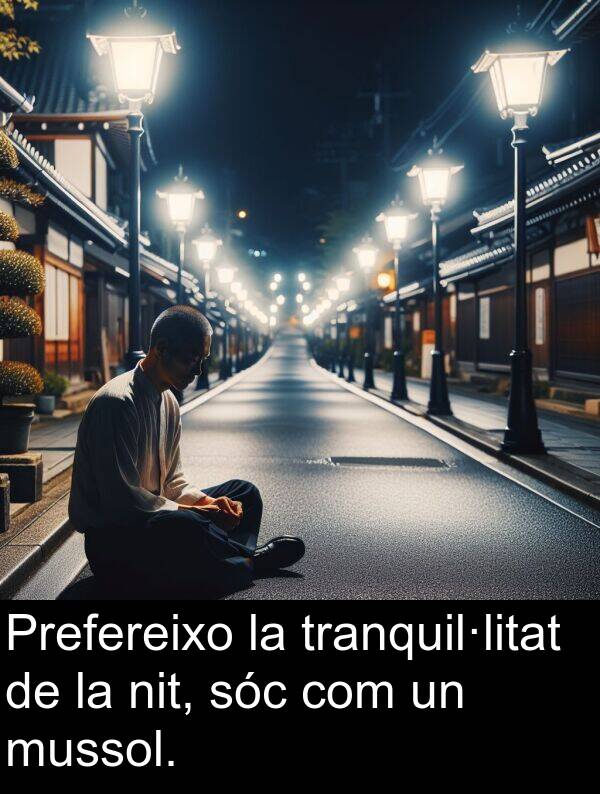 tranquil·litat: Prefereixo la tranquil·litat de la nit, sóc com un mussol.