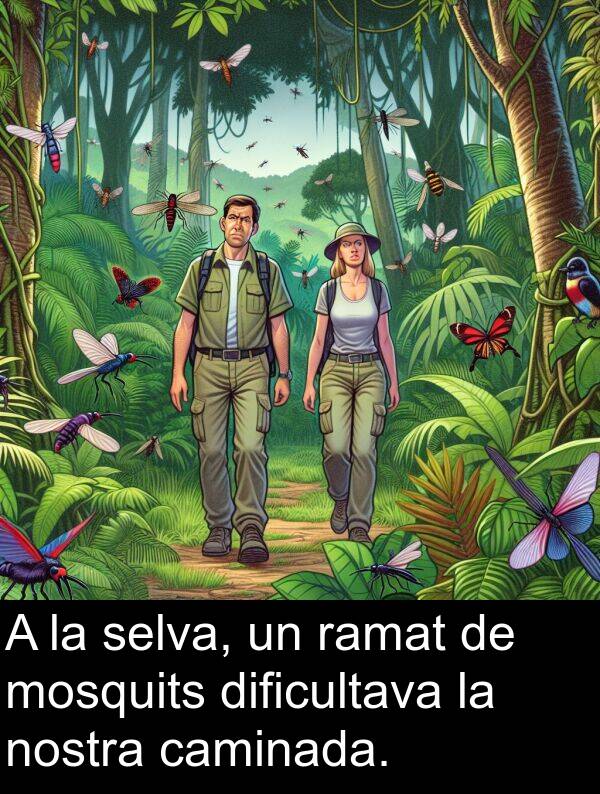 caminada: A la selva, un ramat de mosquits dificultava la nostra caminada.