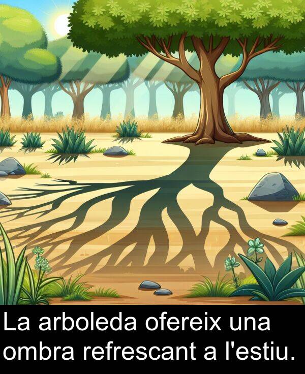 ofereix: La arboleda ofereix una ombra refrescant a l'estiu.