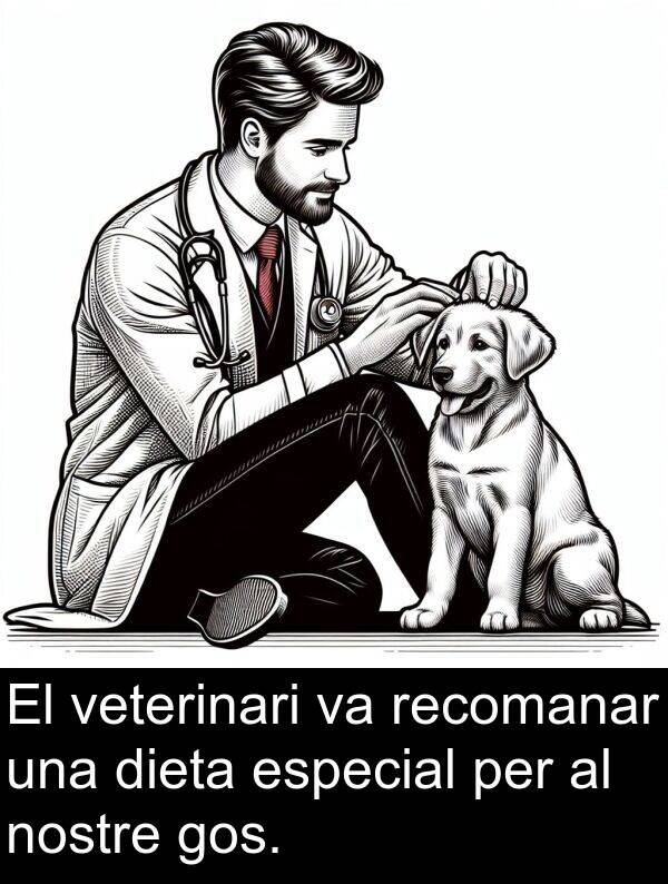 recomanar: El veterinari va recomanar una dieta especial per al nostre gos.