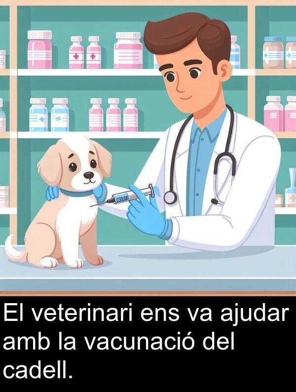 ajudar: El veterinari ens va ajudar amb la vacunació del cadell.