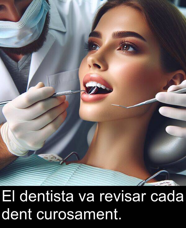 dentista: El dentista va revisar cada dent curosament.