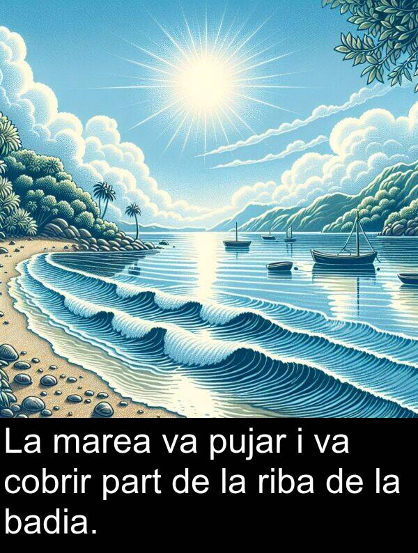 badia: La marea va pujar i va cobrir part de la riba de la badia.