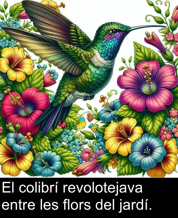 jardí: El colibrí revolotejava entre les flors del jardí.