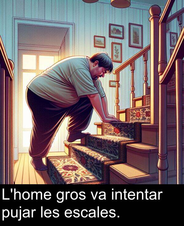 les: L'home gros va intentar pujar les escales.