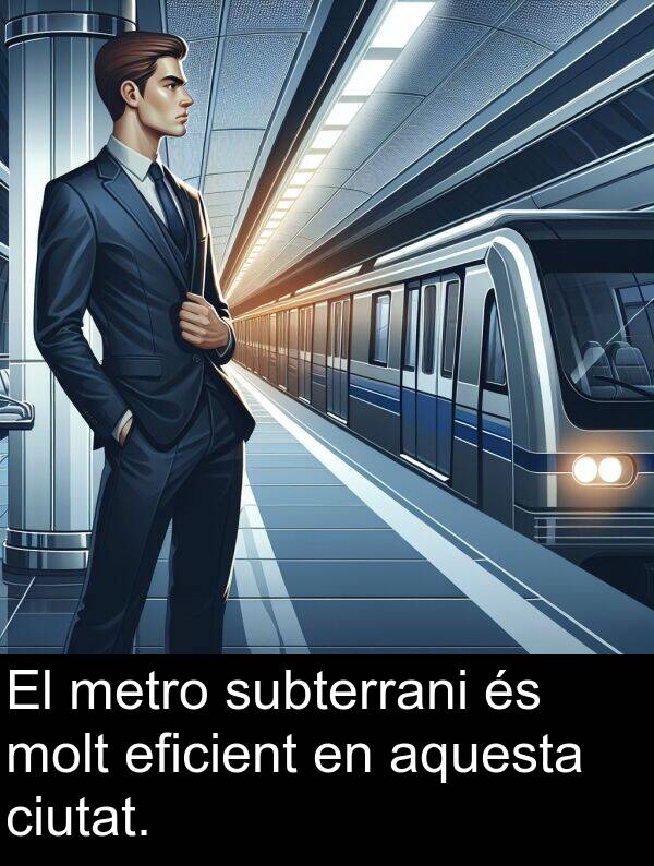 eficient: El metro subterrani és molt eficient en aquesta ciutat.