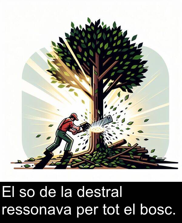 per: El so de la destral ressonava per tot el bosc.