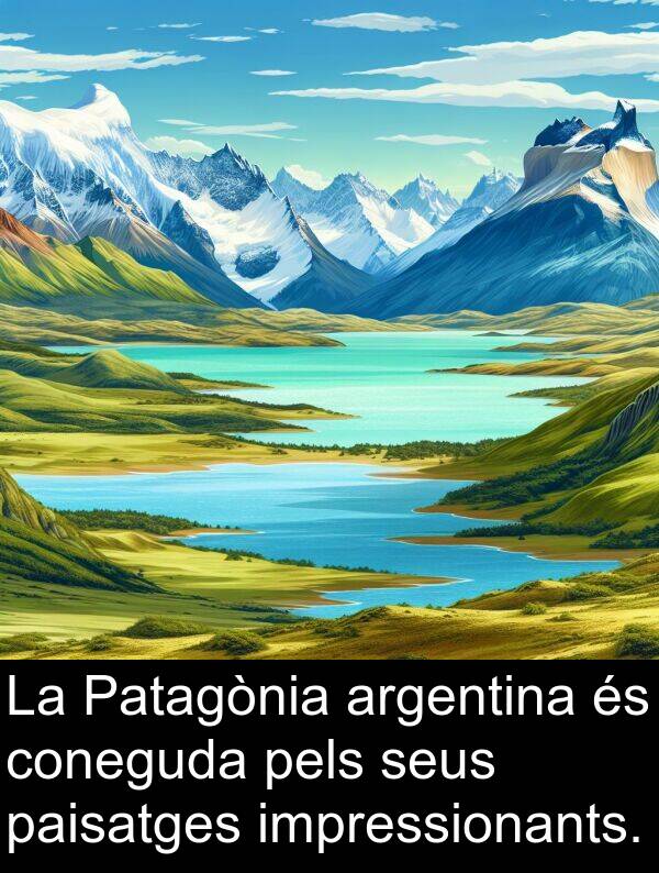 pels: La Patagònia argentina és coneguda pels seus paisatges impressionants.