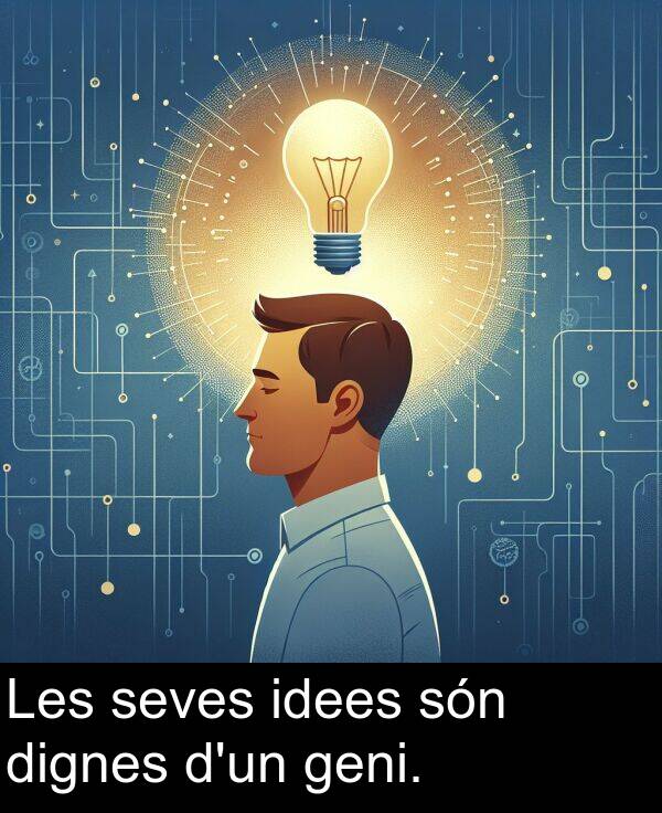 seves: Les seves idees són dignes d'un geni.