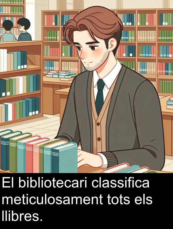 bibliotecari: El bibliotecari classifica meticulosament tots els llibres.