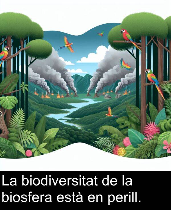 perill: La biodiversitat de la biosfera està en perill.