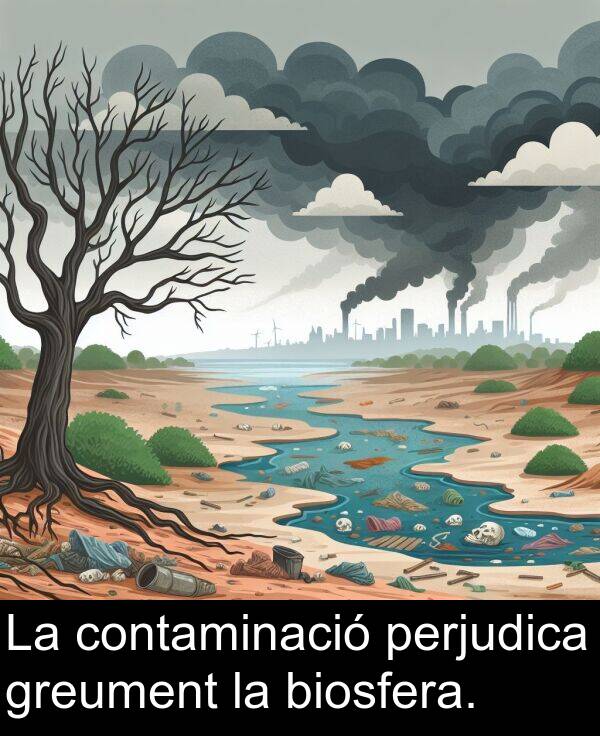 perjudica: La contaminació perjudica greument la biosfera.