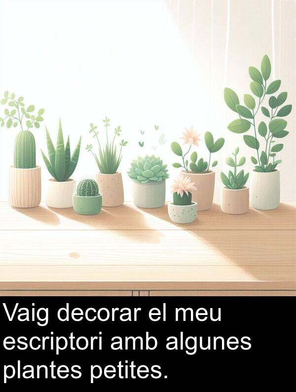 algunes: Vaig decorar el meu escriptori amb algunes plantes petites.