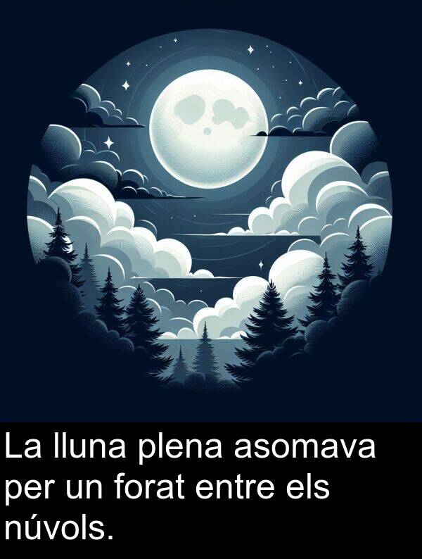 els: La lluna plena asomava per un forat entre els núvols.