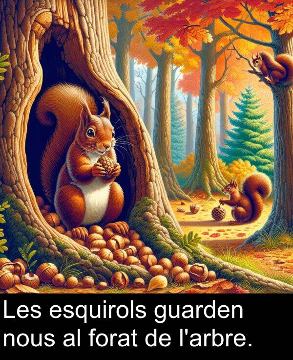 forat: Les esquirols guarden nous al forat de l'arbre.