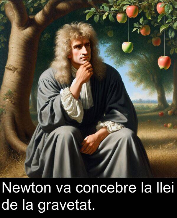 llei: Newton va concebre la llei de la gravetat.