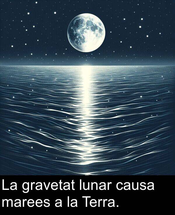 lunar: La gravetat lunar causa marees a la Terra.