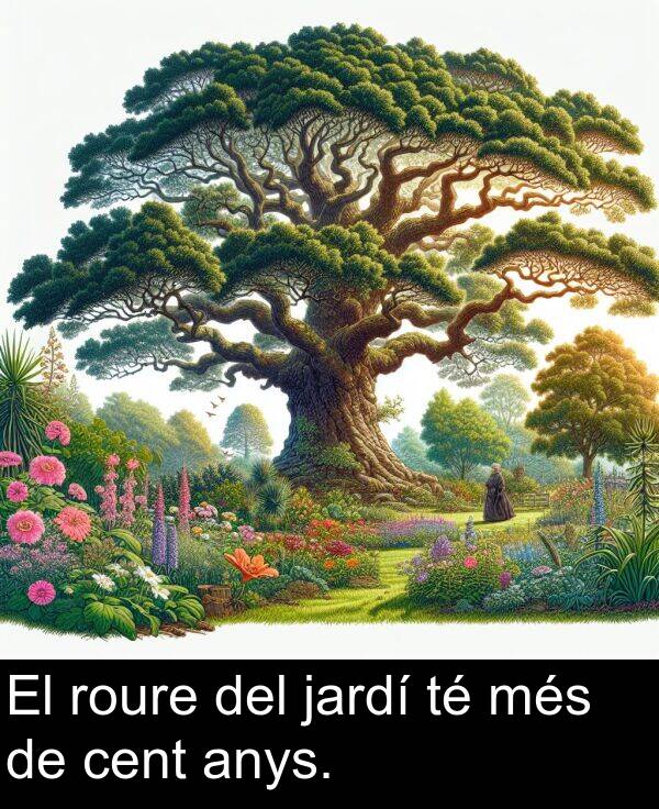 jardí: El roure del jardí té més de cent anys.