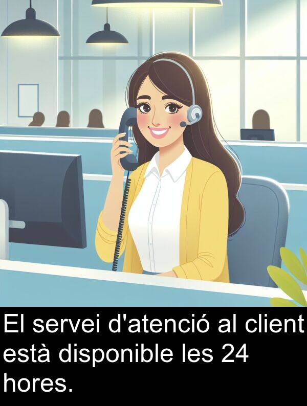 hores: El servei d'atenció al client està disponible les 24 hores.