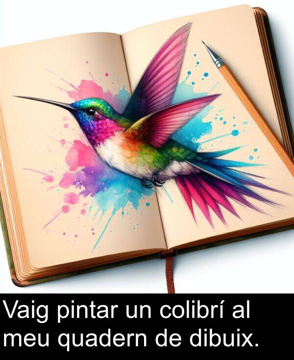 quadern: Vaig pintar un colibrí al meu quadern de dibuix.