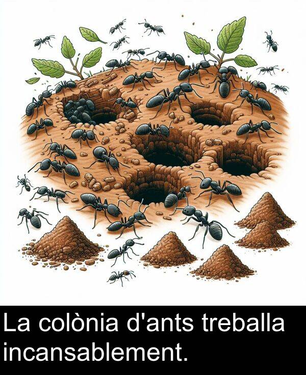 incansablement: La colònia d'ants treballa incansablement.