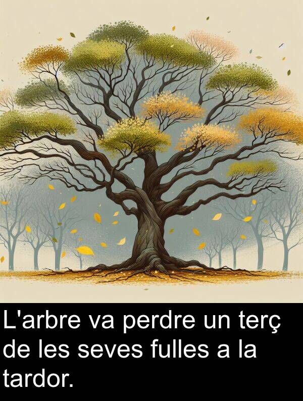 perdre: L'arbre va perdre un terç de les seves fulles a la tardor.