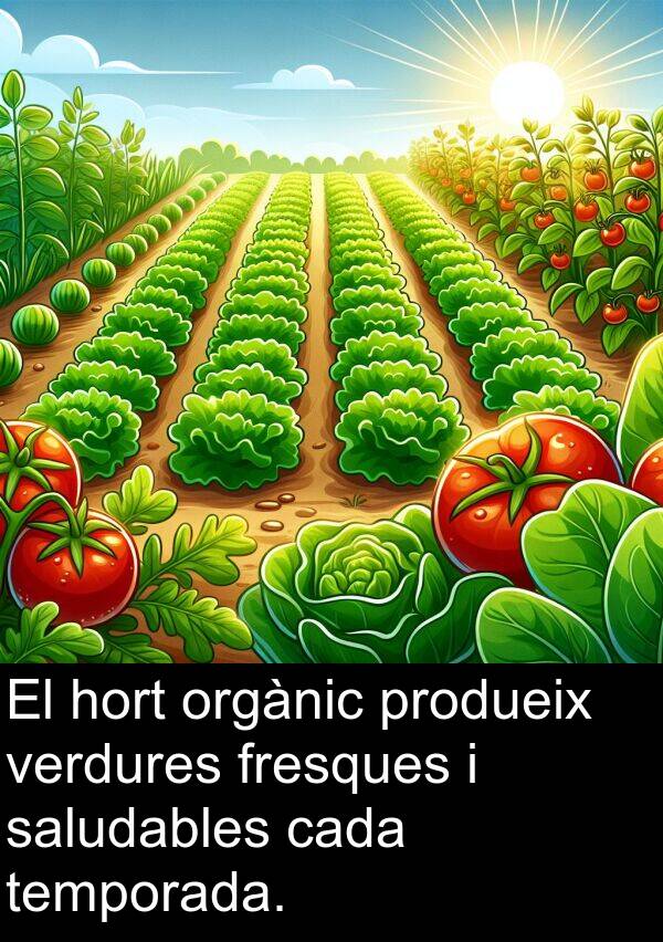 orgànic: El hort orgànic produeix verdures fresques i saludables cada temporada.