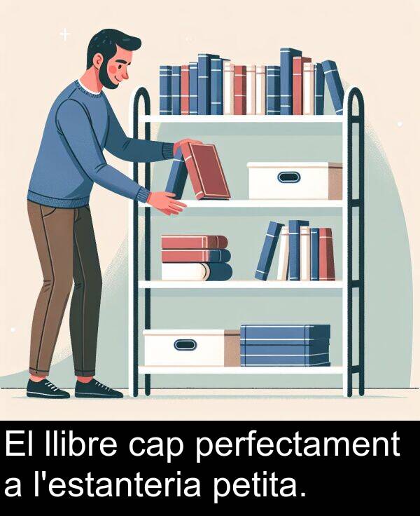 perfectament: El llibre cap perfectament a l'estanteria petita.