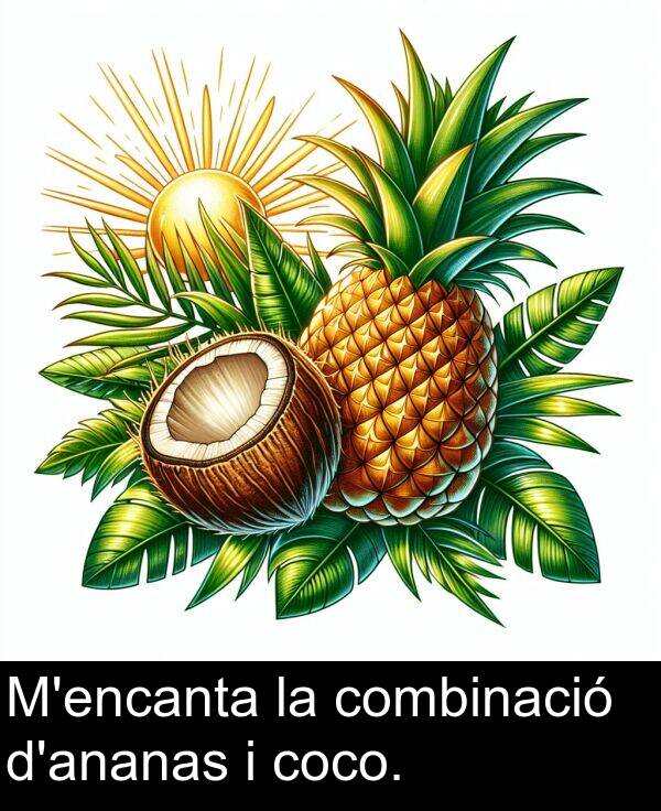 combinació: M'encanta la combinació d'ananas i coco.