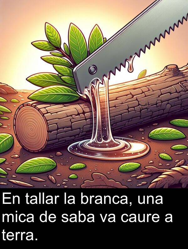 branca: En tallar la branca, una mica de saba va caure a terra.