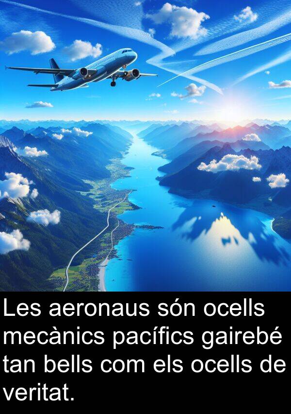 bells: Les aeronaus són ocells mecànics pacífics gairebé tan bells com els ocells de veritat.