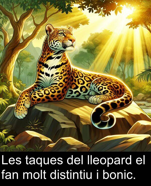 bonic: Les taques del lleopard el fan molt distintiu i bonic.