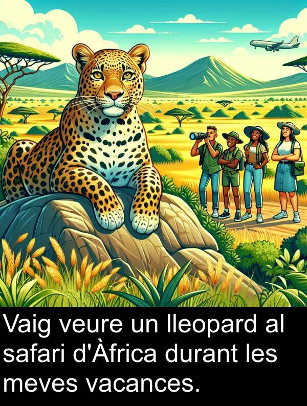 lleopard: Vaig veure un lleopard al safari d'Àfrica durant les meves vacances.