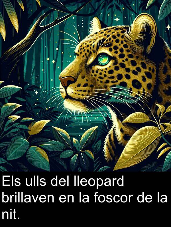 ulls: Els ulls del lleopard brillaven en la foscor de la nit.