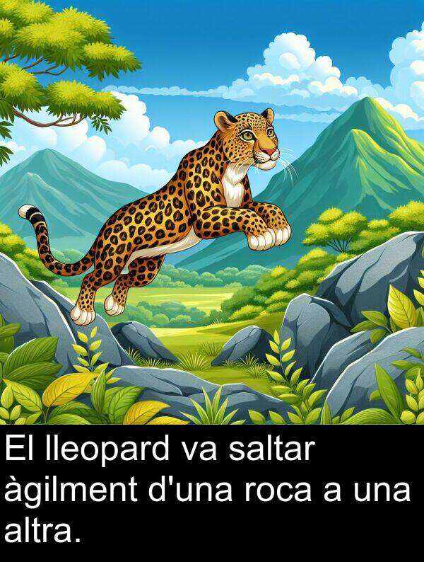 lleopard: El lleopard va saltar àgilment d'una roca a una altra.