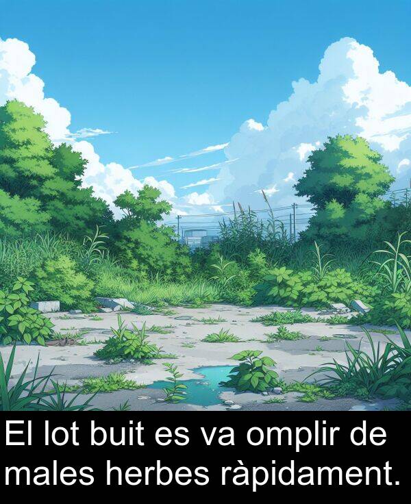 lot: El lot buit es va omplir de males herbes ràpidament.