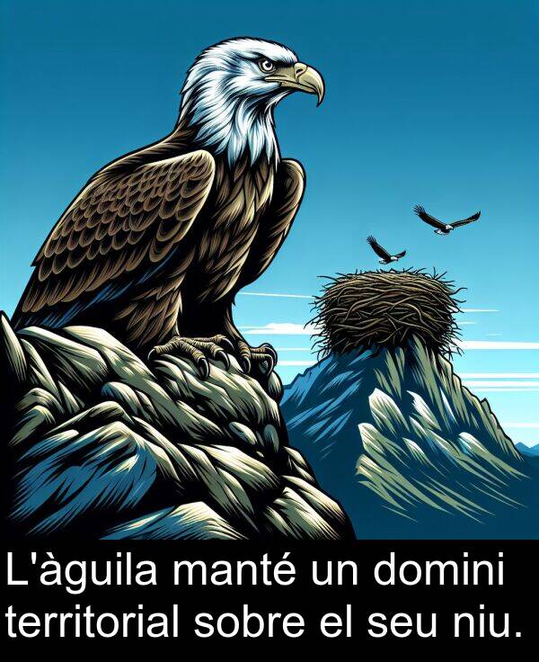 manté: L'àguila manté un domini territorial sobre el seu niu.