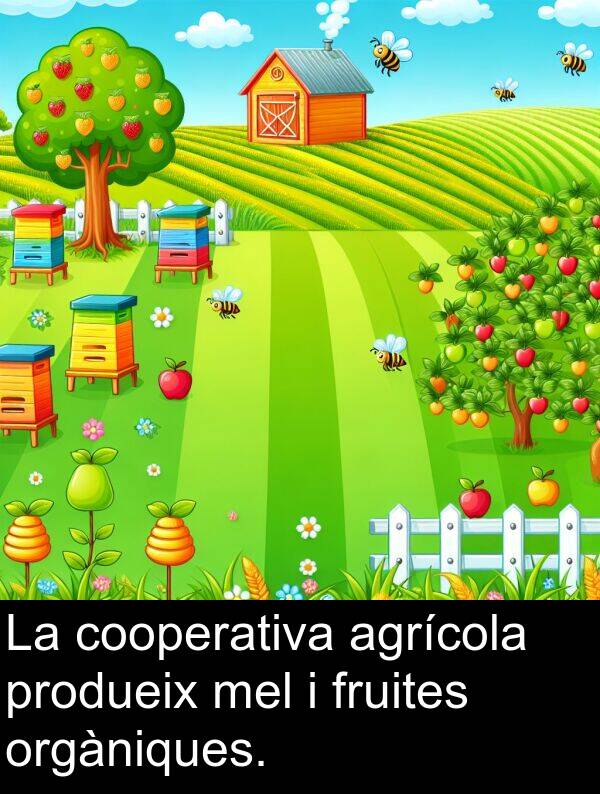 agrícola: La cooperativa agrícola produeix mel i fruites orgàniques.