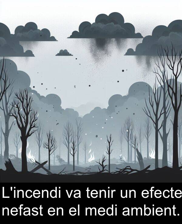 medi: L'incendi va tenir un efecte nefast en el medi ambient.