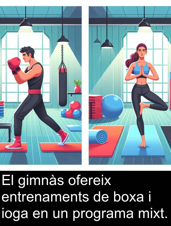 ofereix: El gimnàs ofereix entrenaments de boxa i ioga en un programa mixt.