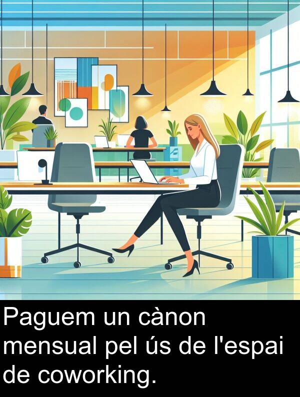 pel: Paguem un cànon mensual pel ús de l'espai de coworking.